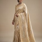 Beige Chevron - Organza Saree