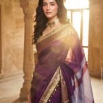 Royal Plum Metallic  - Tissue  Saree