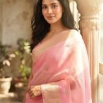 Blush Pink -  Tissue Saree