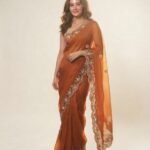 Terracotta Rust - Organza Saree